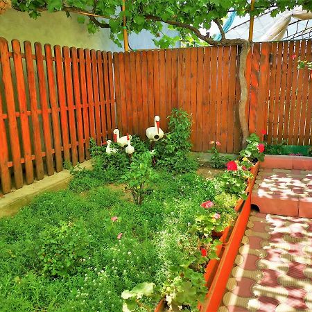 ホテル Casa Nelu Pescaru マフムディア エクステリア 写真
