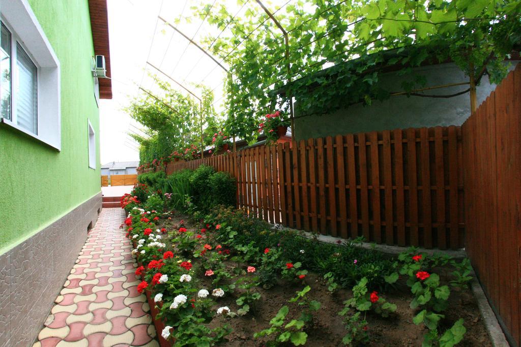 ホテル Casa Nelu Pescaru マフムディア エクステリア 写真