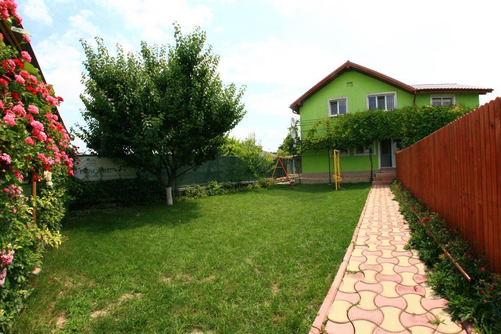 ホテル Casa Nelu Pescaru マフムディア エクステリア 写真