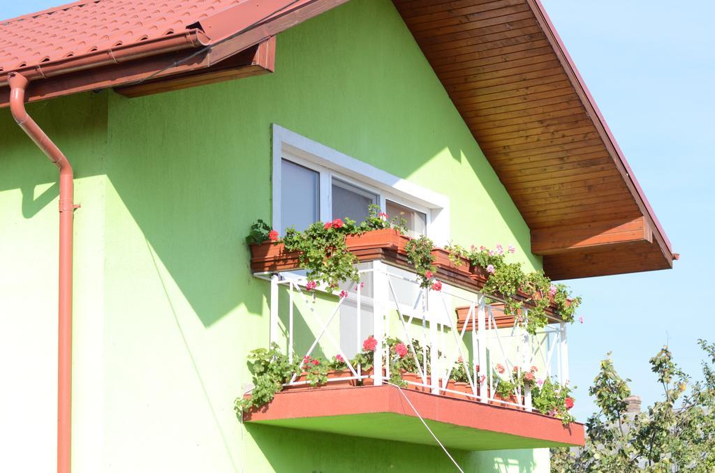 ホテル Casa Nelu Pescaru マフムディア エクステリア 写真