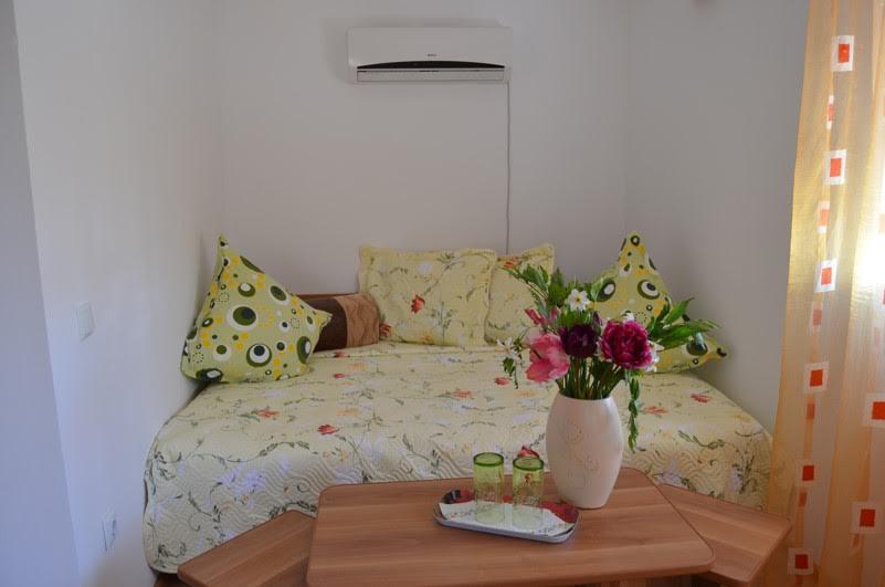 ホテル Casa Nelu Pescaru マフムディア エクステリア 写真