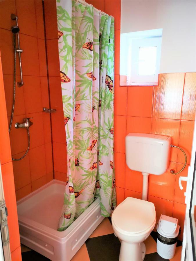 ホテル Casa Nelu Pescaru マフムディア エクステリア 写真