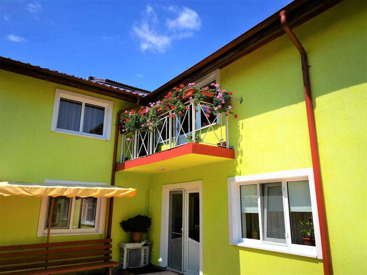ホテル Casa Nelu Pescaru マフムディア エクステリア 写真