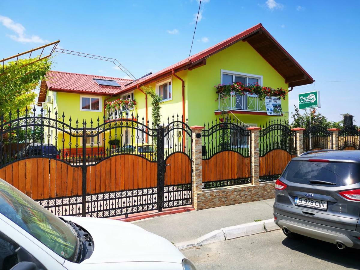 ホテル Casa Nelu Pescaru マフムディア エクステリア 写真