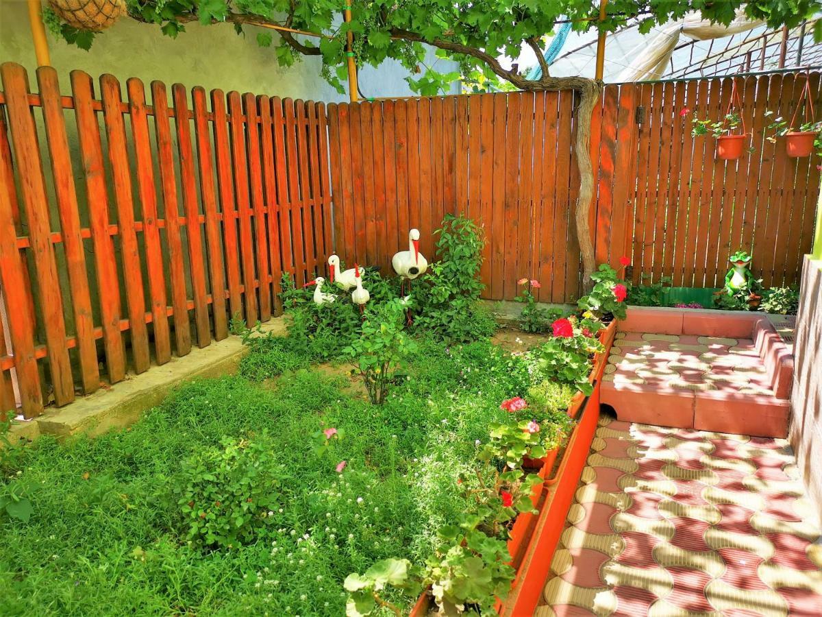 ホテル Casa Nelu Pescaru マフムディア エクステリア 写真